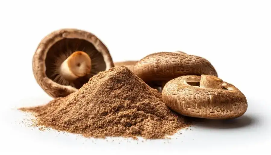 Illustration Shiitakes du Vignoble Nantais